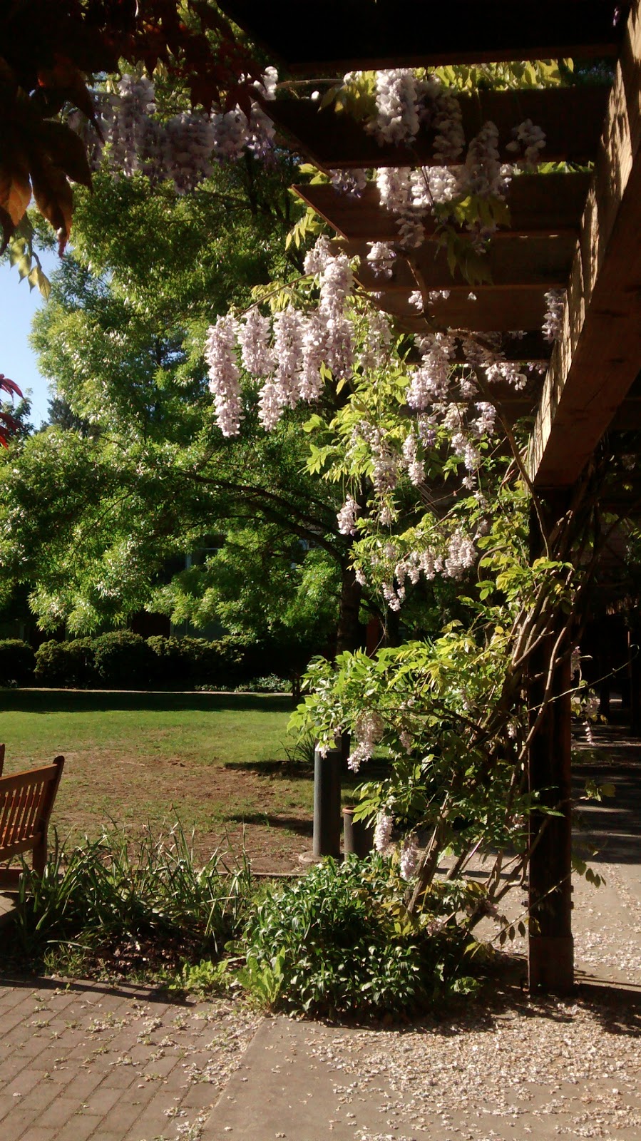 St. Johns College | 2111 Lower Mall, Vancouver, BC V6T 1Z4, Canada | Phone: (604) 822-8788
