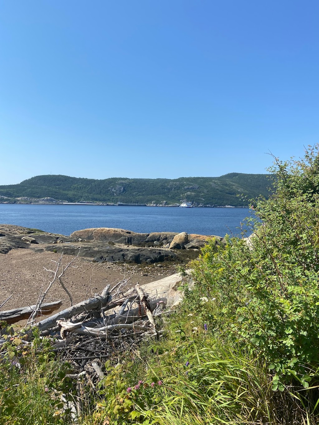 Gare fluviale de Tadoussac | 98 Rue du Bateau Passeur, Tadoussac, QC G0T 2A0, Canada | Phone: (877) 787-7483