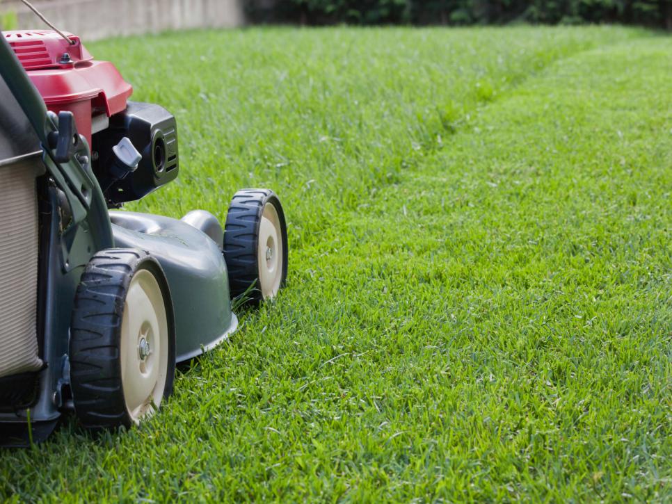 Fernie Lawn Care Services | 601 2 Ave, Fernie, BC V0B 1M0, Canada | Phone: (250) 278-7857