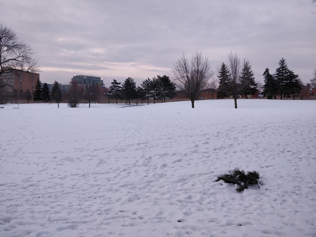 Sgt David Yakichuk Park | Cooksville, Mississauga, ON L5B, Canada