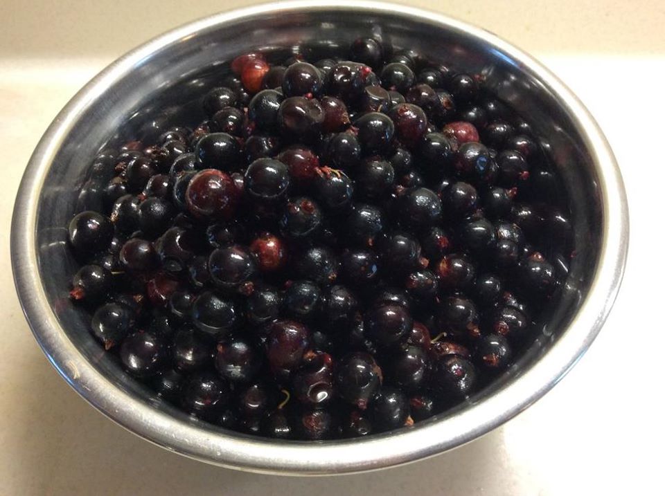 So JAM Good | 5759 Scotch Line, Alliston, ON L9R 1V2, Canada | Phone: (705) 435-3316