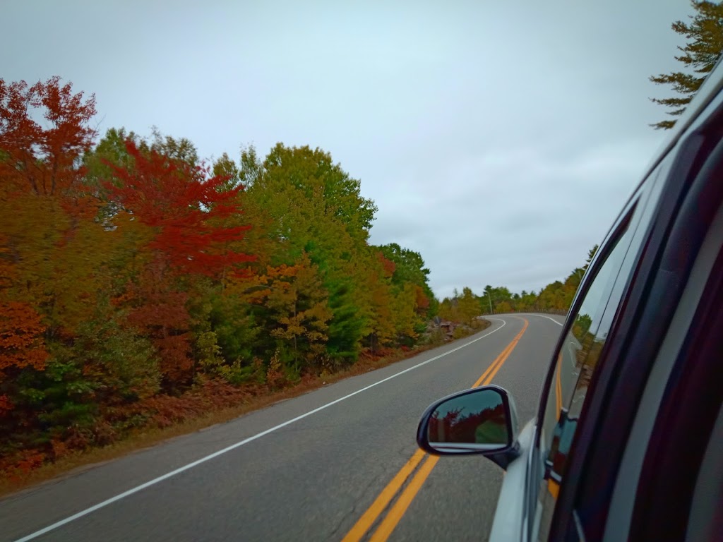 Mark Gidley, Forest Hill Real Estate Inc. Brokerage | 3125 Muskoka District Road 169, Bala, ON P0C 1A0, Canada | Phone: (705) 706-7065