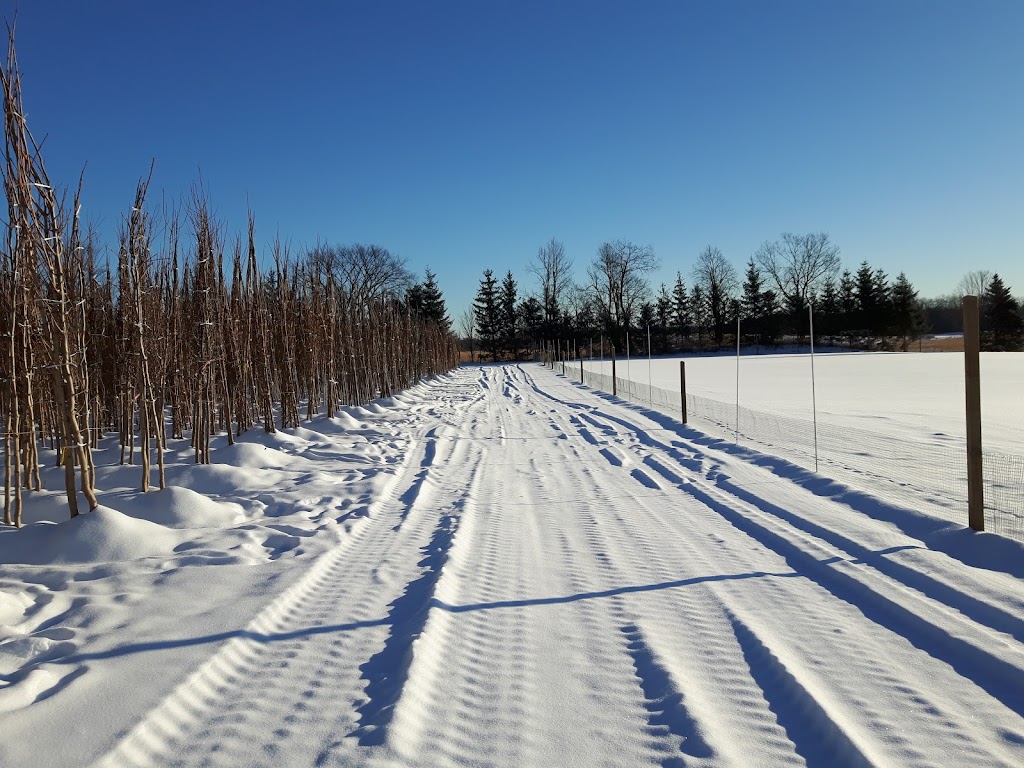Royal Canadian Legion Branch 500 | Lynden Legion Park, 206 Lynden Rd, Hamilton, ON L0R 1T0, Canada | Phone: (519) 647-3403