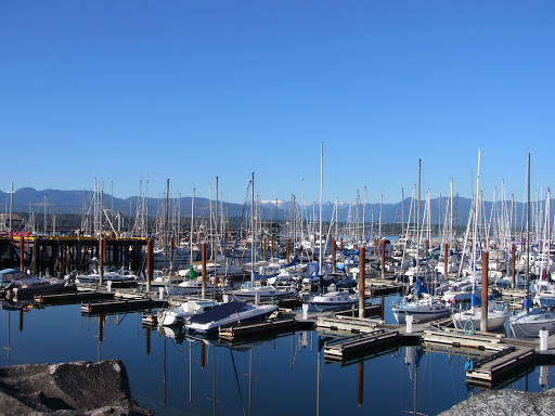 Margie Anderson, Remax Ocean Pacific Realty | 282 Anderton Rd, Comox, BC V9M 1Y2, Canada | Phone: (250) 702-5425