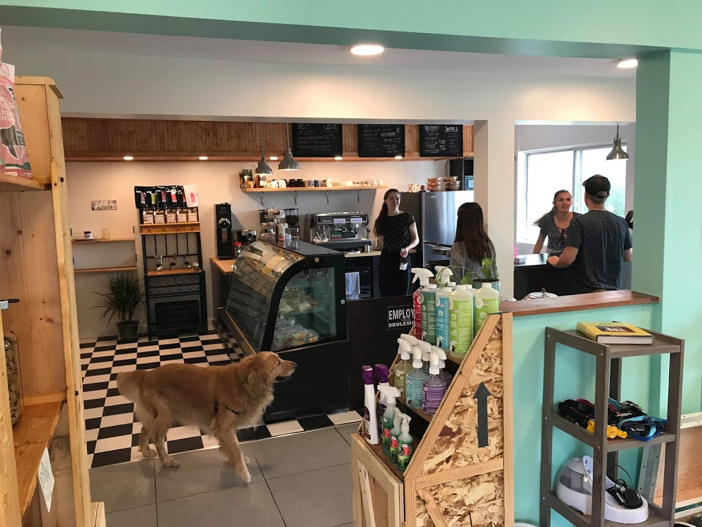 CHEZ LUC- Café et Boutique pour animaux | 1050 Boulevard Laurier E, Saint-Hyacinthe, QC J2T 1K1, Canada | Phone: (450) 252-3647