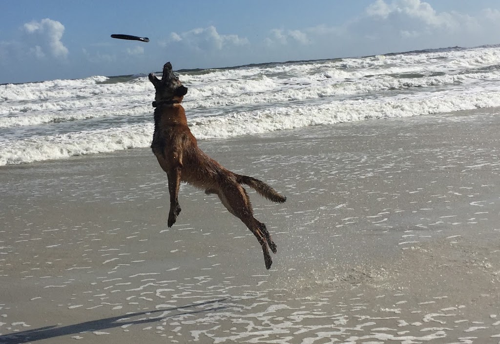 Unleashed Potential K9 | 22 Myrtle St, Stratford, PE C1B 2W2, Canada | Phone: (902) 367-3647
