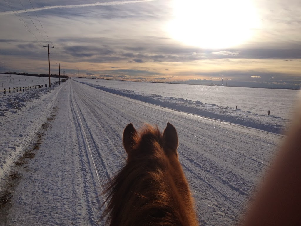 Sweetgrass Stables | 262234 Range Rd 290, Alberta T4A 0P7, Canada | Phone: (403) 226-0541