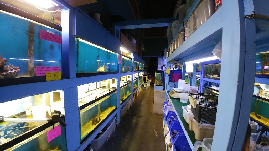 Pauls Aquarium | 7533 135 St #108, Surrey, BC V3W 0N6, Canada | Phone: (604) 572-4649
