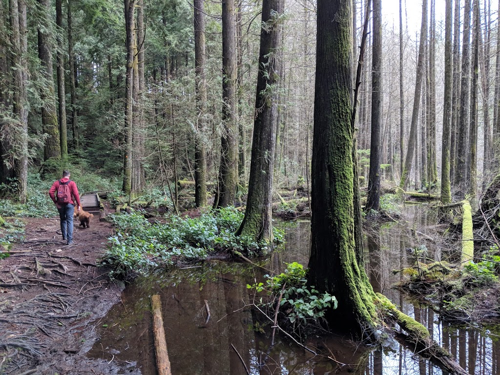 Whyte Lake Park | West Vancouver | Westport Rd, West Vancouver, BC V0N 1G0, Canada