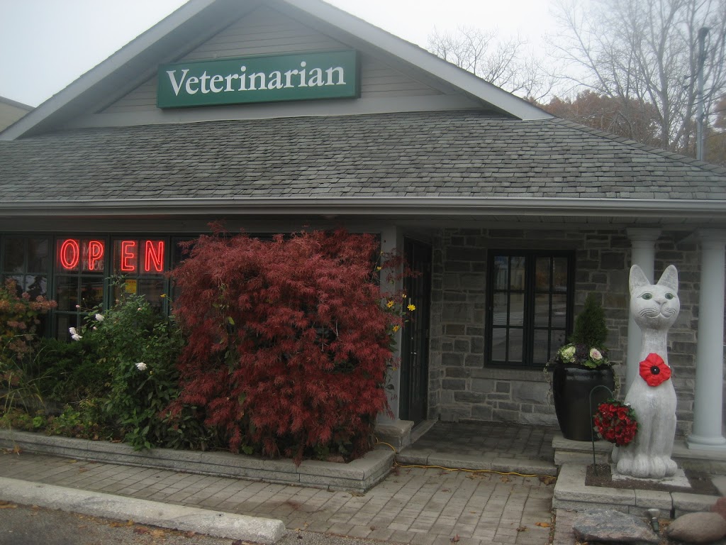 Clarkson Village Animal Hospital | 1659 Lakeshore Rd W, Mississauga, ON L5J 1J4, Canada | Phone: (905) 855-2100
