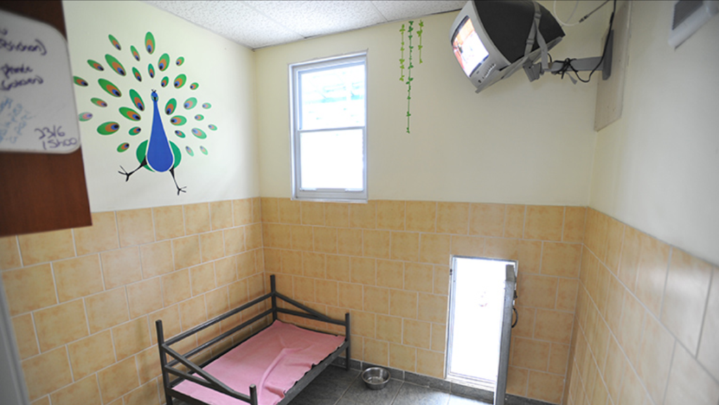 Pension Pattes de Velours | 450 QC-218, Saint-Gilles, QC G0S 2P0, Canada | Phone: (418) 888-4177