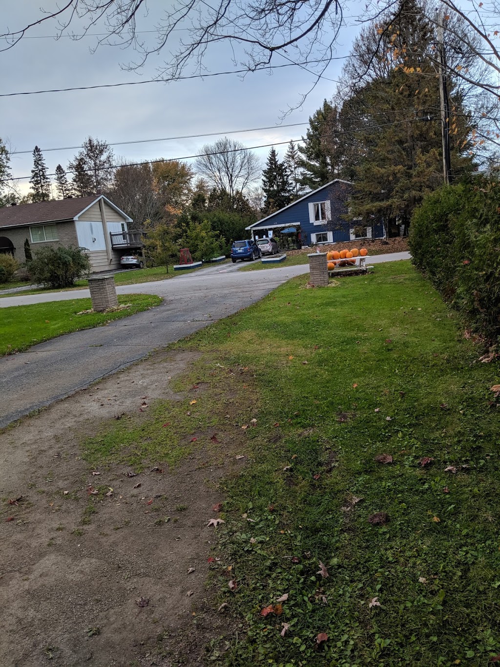 Seymours Lawn Care | Gill St, Coldwater, ON L0K 1E0, Canada | Phone: (705) 718-3426