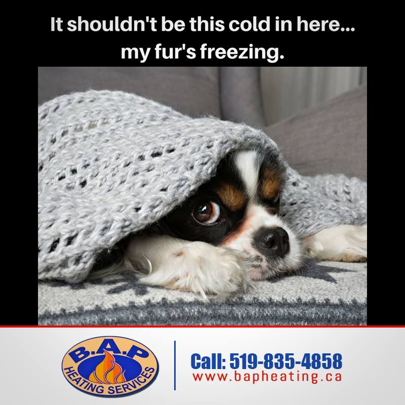 B.A.P Heating & Cooling Services | 25 Clearview St Unit 8, Guelph, ON N1E 6C4, Canada | Phone: (226) 270-1480