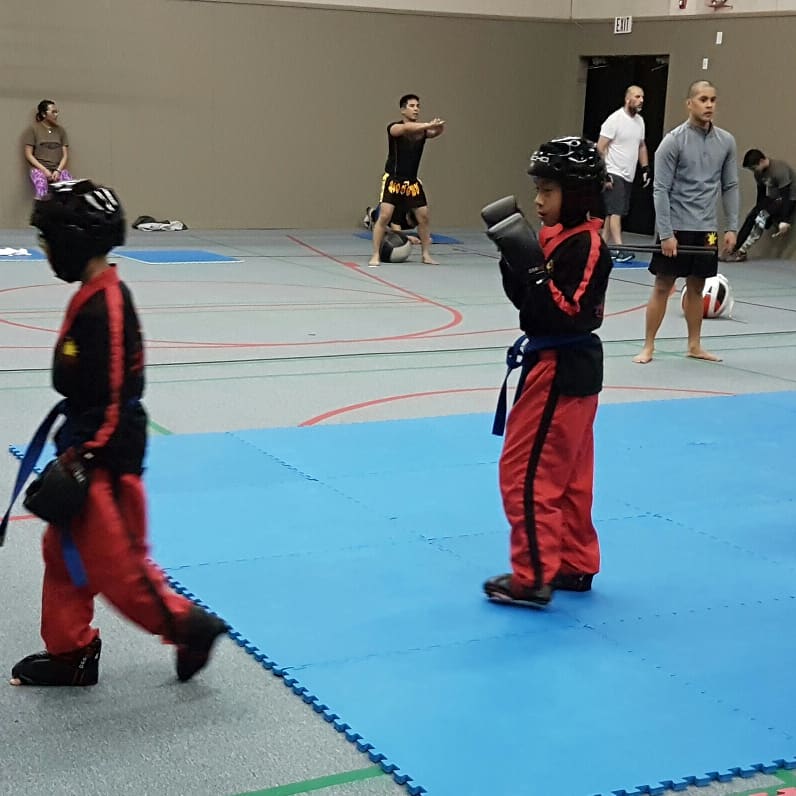 Mac Martial Arts Ltd | 155 Falconridge Crescent NE, Calgary, AB T3J 1Z9, Canada | Phone: (403) 835-4427