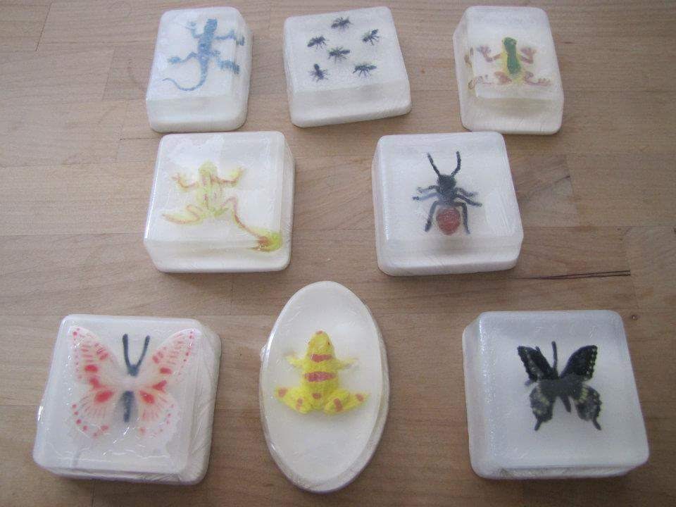 silly soap | 12617 203 St, Maple Ridge, BC V2X 4A1, Canada | Phone: (778) 235-5077