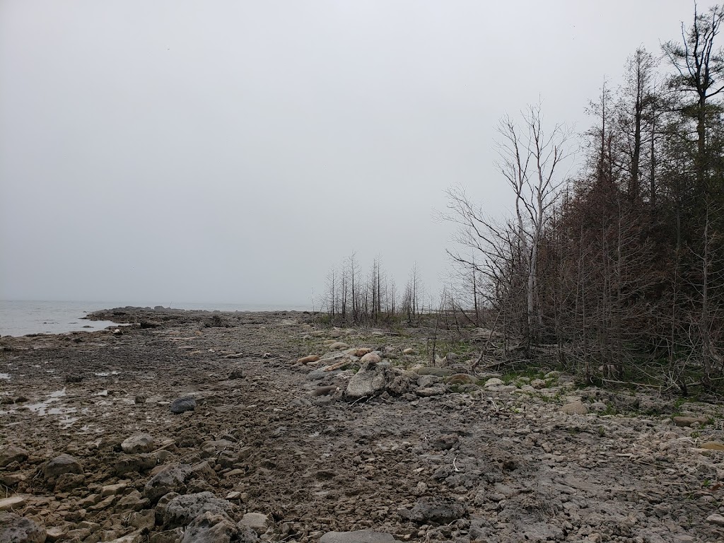 St Jean Point Nature Reserve | 1390 Sunset Dr, Mar, ON N0H 1X0, Canada | Phone: (519) 376-3076