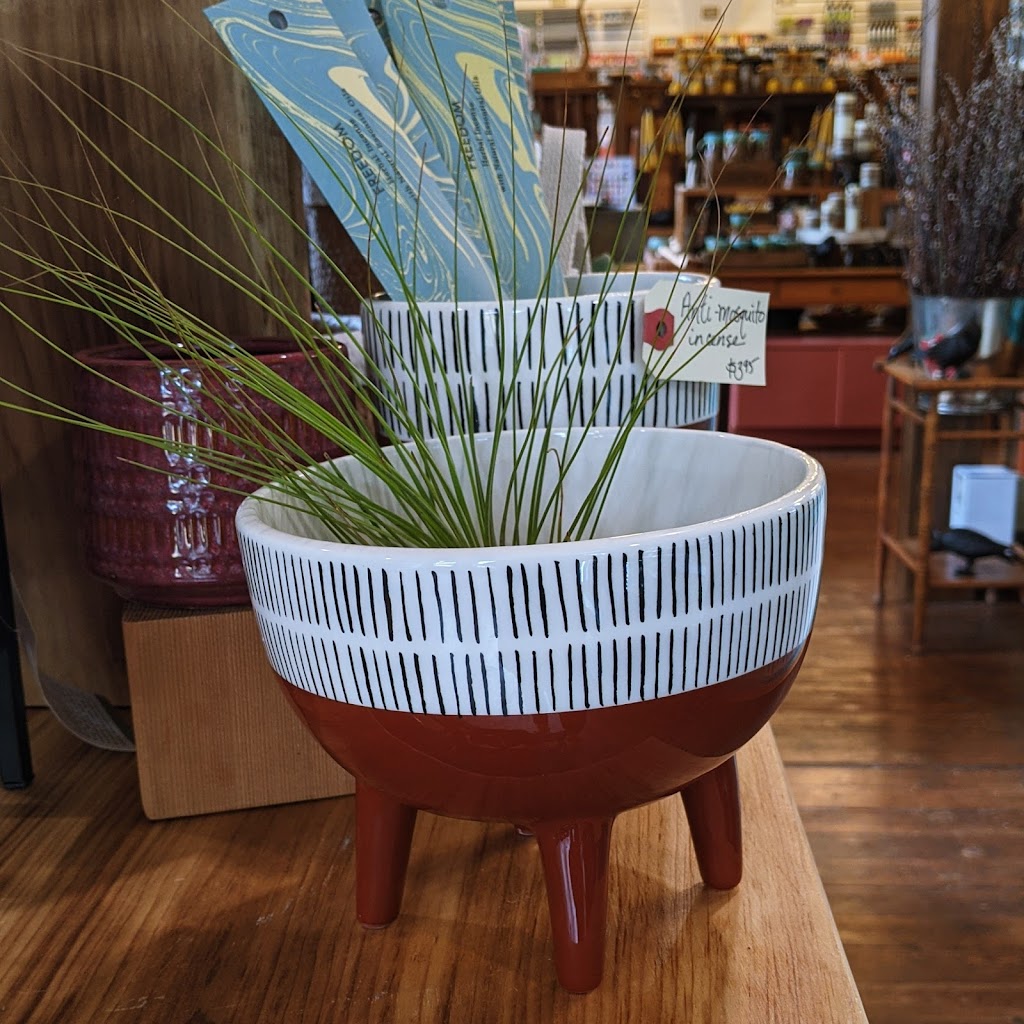 Moonsnail Mercantile | 3421 Brackley Point Rd, Brackley Beach, PE C1E 2N9, Canada | Phone: (902) 672-7627