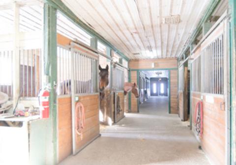 St-Laurent Dressage | Centre Équestre Verchères | 240 QC-132, Verchères, QC J0L 2R0, Canada | Phone: (514) 232-5091