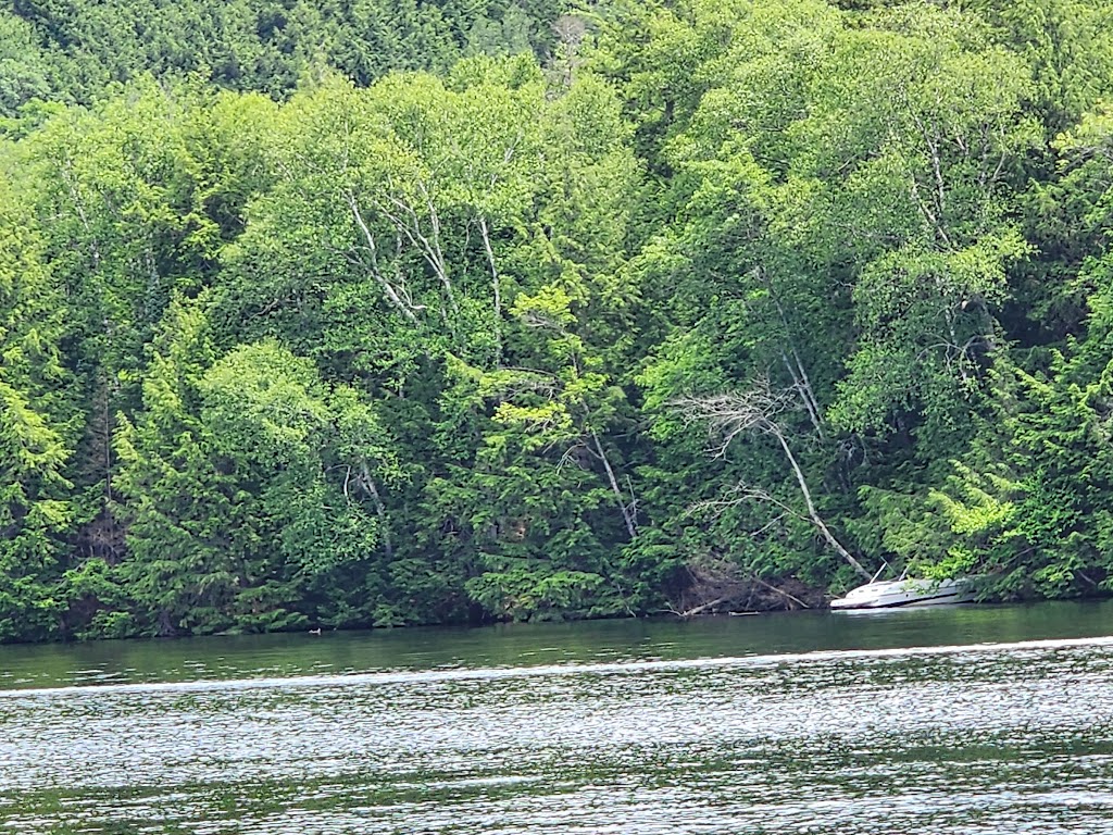 Bear Mountain Lookout trail | Haliburton County, ON K0M, Canada | Phone: (647) 200-1764