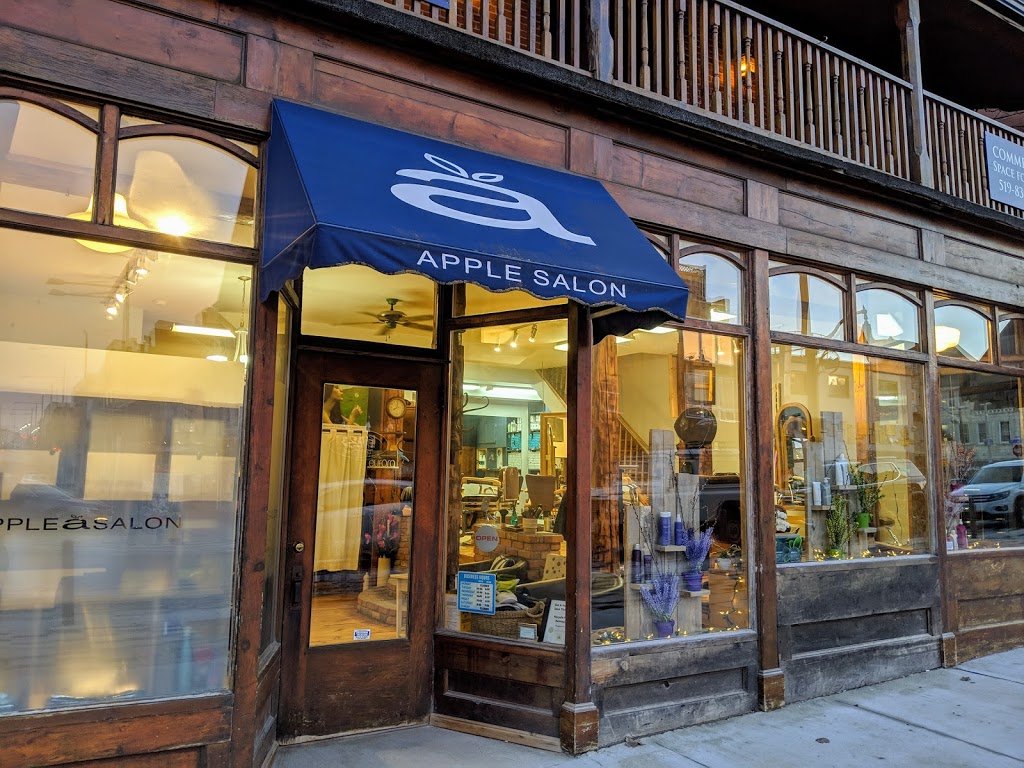 Apple Hair Salon | 26 Wilson St, Guelph, ON N1H 4G5, Canada | Phone: (519) 341-9811