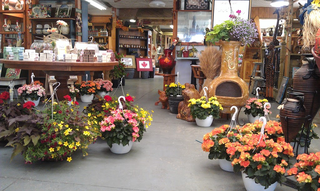 #blossom #acres #farm #country #market | 20278 Woodbine Ave, Queensville, ON L0G 1R0, Canada | Phone: (905) 478-7987