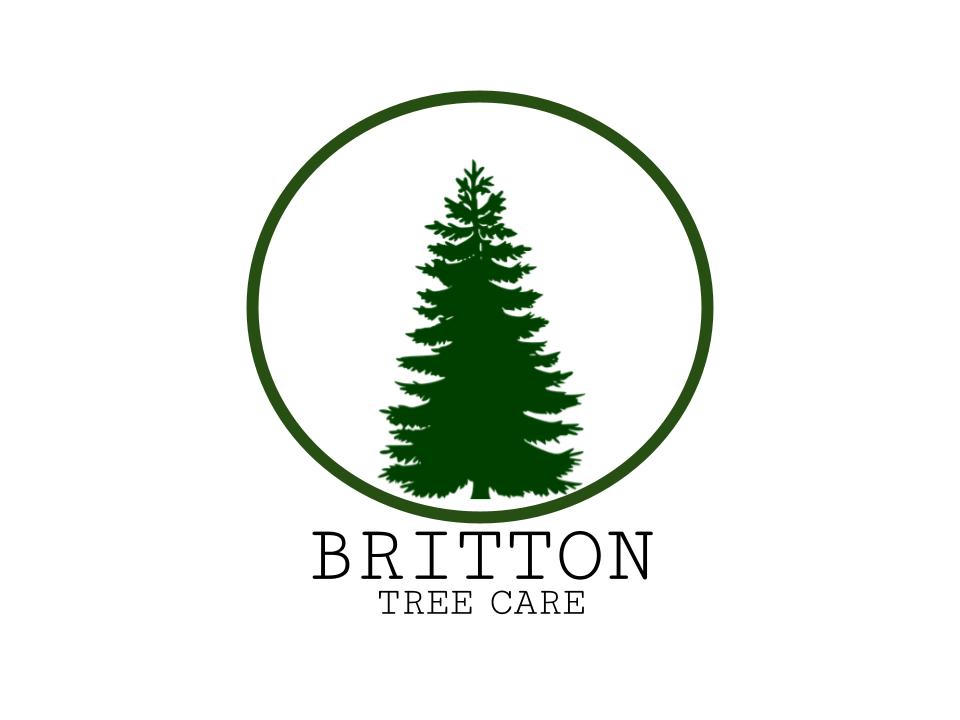 Britton Tree Care | 572 Jubilee Ave, Winnipeg, MB R3L 1P3, Canada | Phone: (204) 799-2504