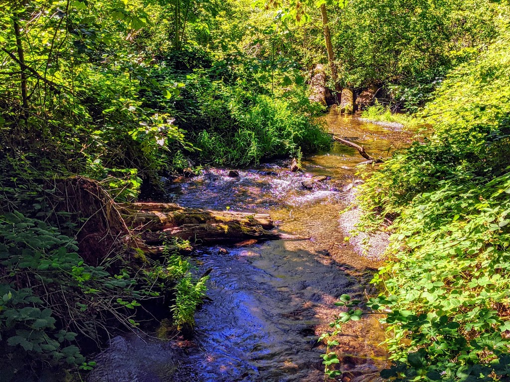 Thacker Regional Park | 20840 Union Bar Rd, Hope, BC V0X 1L1, Canada | Phone: (604) 702-5000