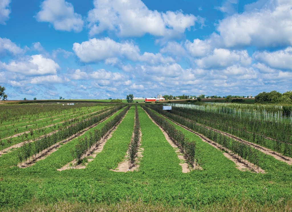 Whiffletree Farm and Nursery | 6987 8 Line W, Elora, ON N0B 1S0, Canada | Phone: (519) 669-1349