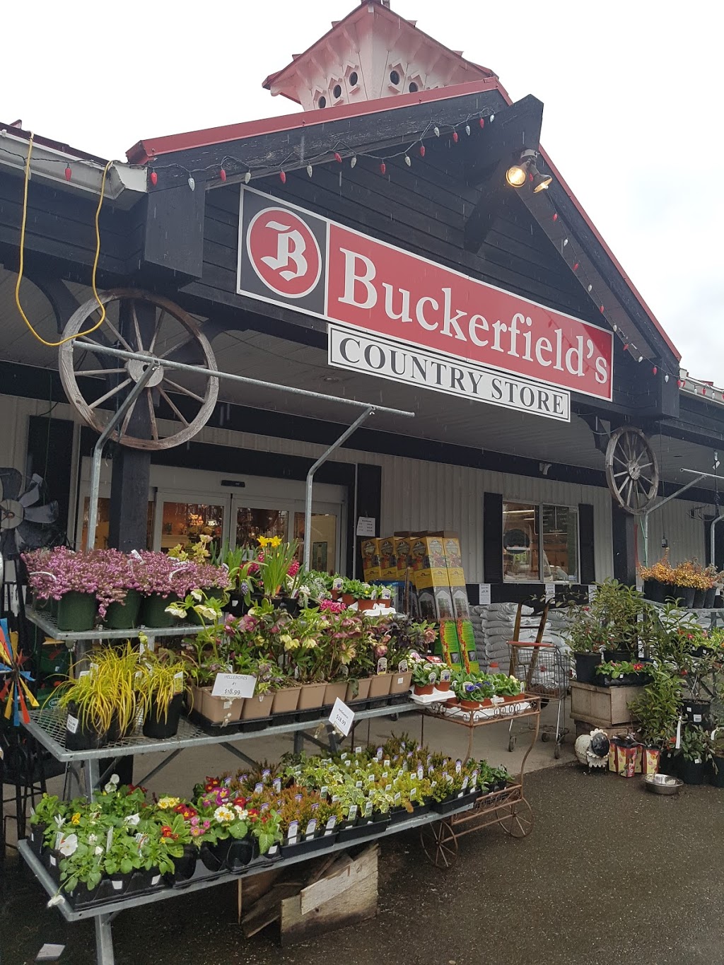 Buckerfields | 587 Alberni Hwy, Parksville, BC V9P 1J9, Canada | Phone: (250) 248-3243