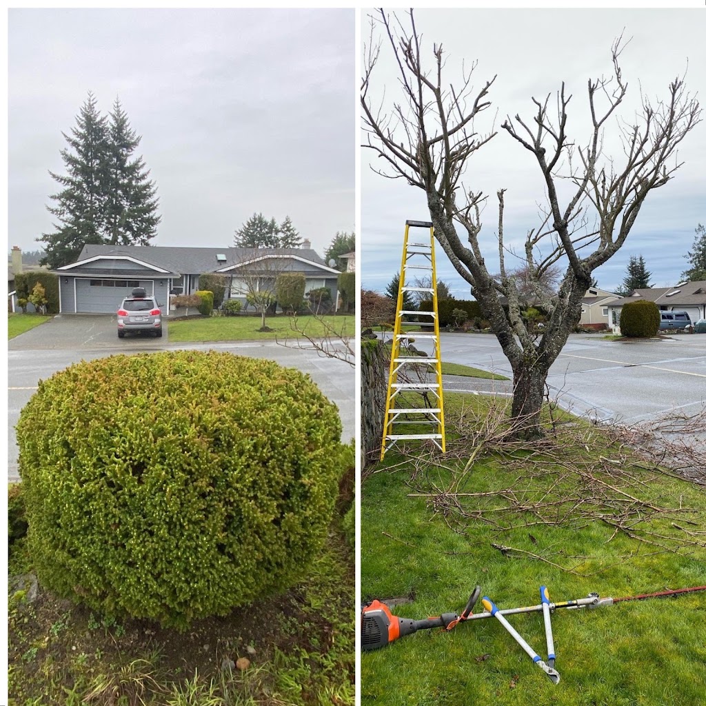 YYJ Lawns | 9515 Glenelg Ave, North Saanich, BC V8L 5H2, Canada | Phone: (250) 208-3033