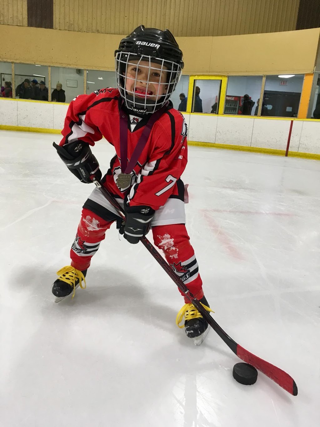Tara Community Ctr | 150 Hamilton St, Tara, ON N0H 2N0, Canada | Phone: (519) 934-2041