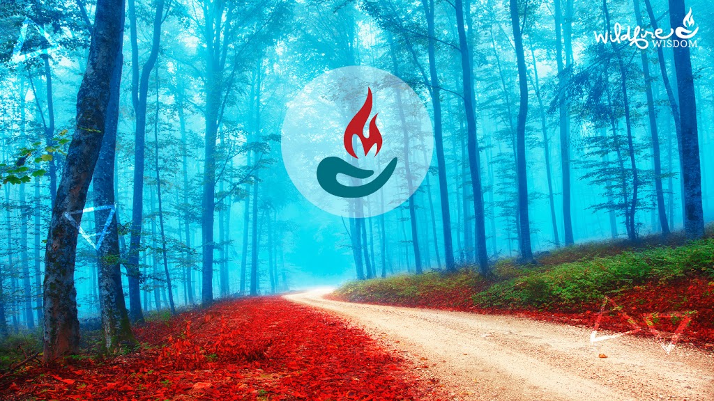Wildfire Wisdom | 126 Bobcaygeon Rd, Minden, ON K0M 2K0, Canada | Phone: (705) 488-9917