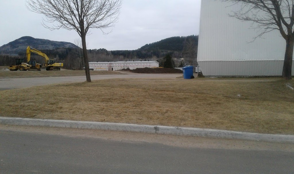 Aréna De Clermont Saison | 31 Rue Larouche, Clermont, QC G4A 1C7, Canada | Phone: (418) 439-3773
