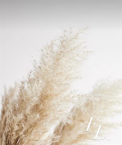 Flutter Lashes | Pritchard Creek Pl, Langford, BC V9C 0K9, Canada | Phone: (250) 589-9371