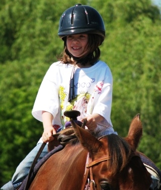 BNR Stables | 2250 Balfour St, Fenwick, ON L0S 1C0, Canada | Phone: (905) 892-7433