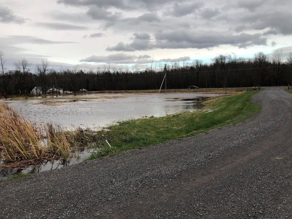 BerryGood Farms | 2295 County Rd 43, Kemptville, ON K0G 1J0, Canada
