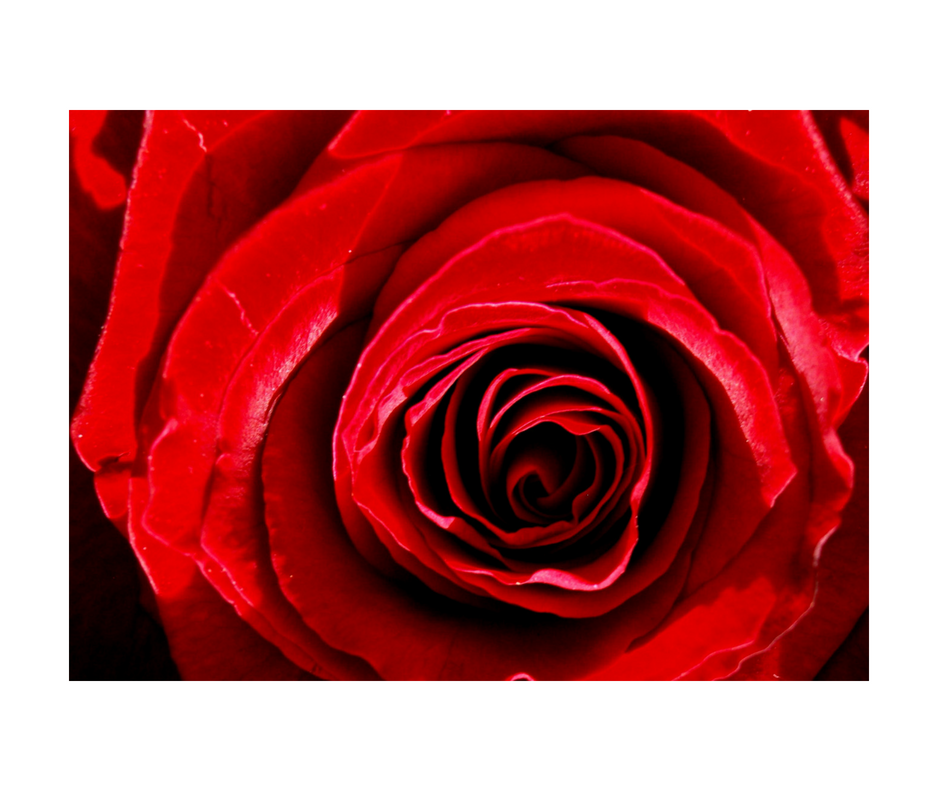 Zone Rouge Communication | 420 Rue Davis, Coaticook, QC J1A 2S5, Canada | Phone: (819) 640-5730