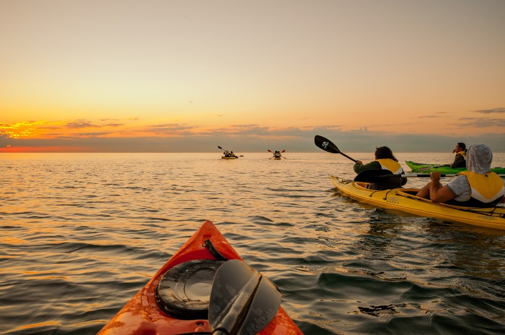 Paddle Pirates Toronto | 6 Glen Manor Dr, Toronto, ON M4E 1A4, Canada | Phone: (416) 666-0603
