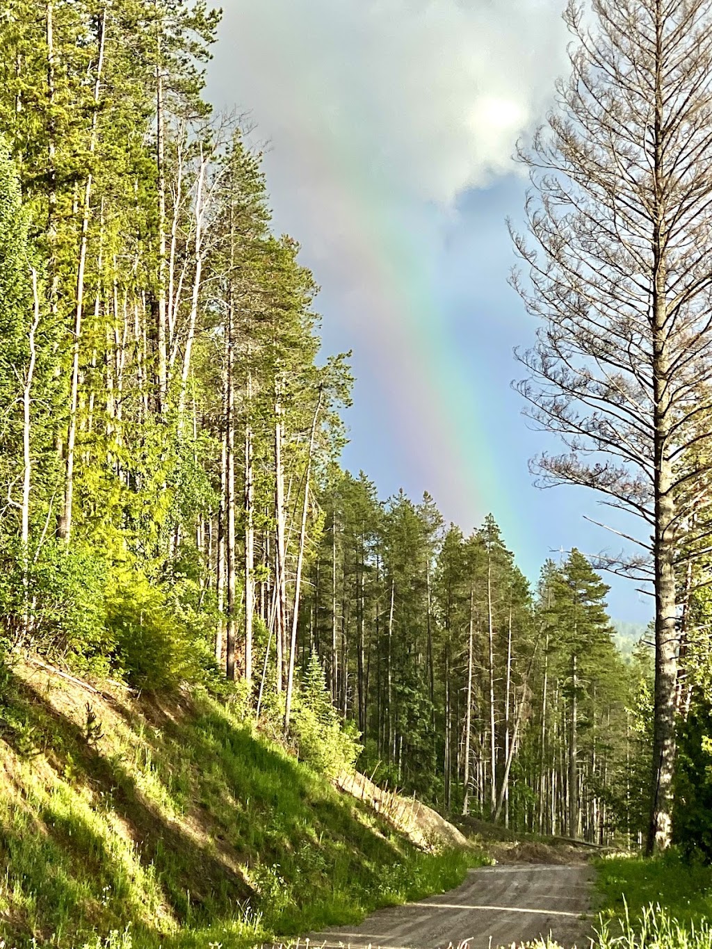 Elk View Lodge | 3934 Cokato Rd, Fernie, BC V0B 1M4, Canada | Phone: (519) 701-3821