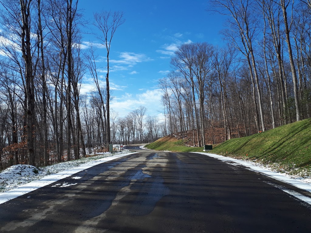 Extermination Des Monts | 668 Chemin des Bouleaux, Saint-Sauveur, QC J0R 1K0, Canada | Phone: (450) 227-0997