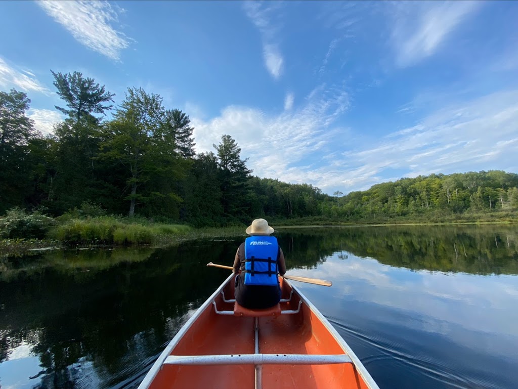 Miners Bay Lodge | 9718 ON-35, Minden, ON K0M 2L1, Canada | Phone: (705) 286-2978