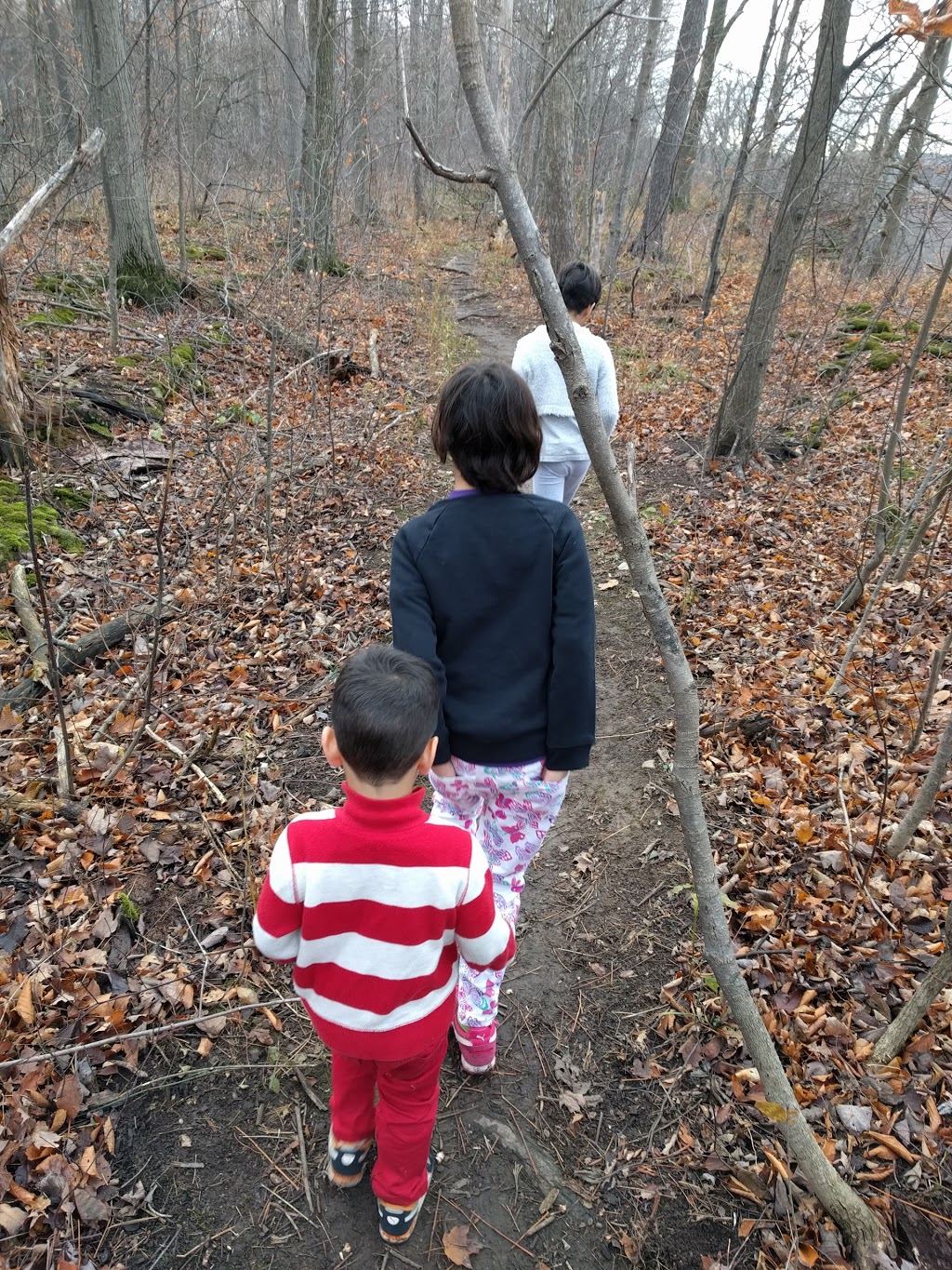 Cave Springs Conservation Area | 3949 Cave Spring Rd, Campden, ON L0R 1G0, Canada