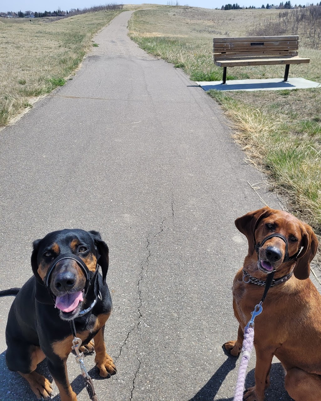 Kaels Pet Care | Scenic Dr S, Lethbridge, AB T1J 1T1, Canada | Phone: (403) 715-5472