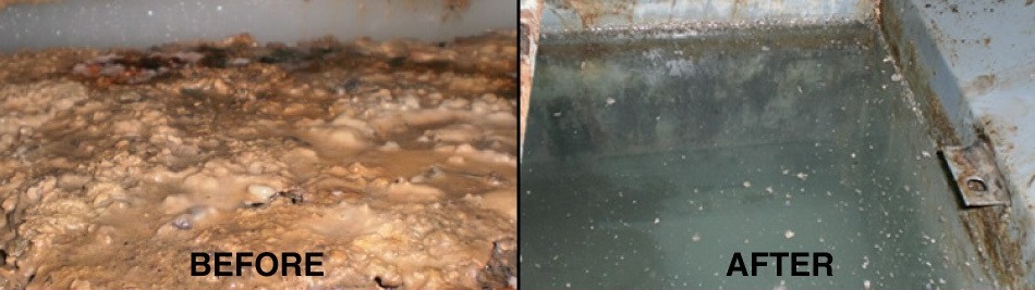 The Drain Doctor | 5610 48 St SE, Calgary, AB T2C 4W2, Canada | Phone: (403) 243-3490