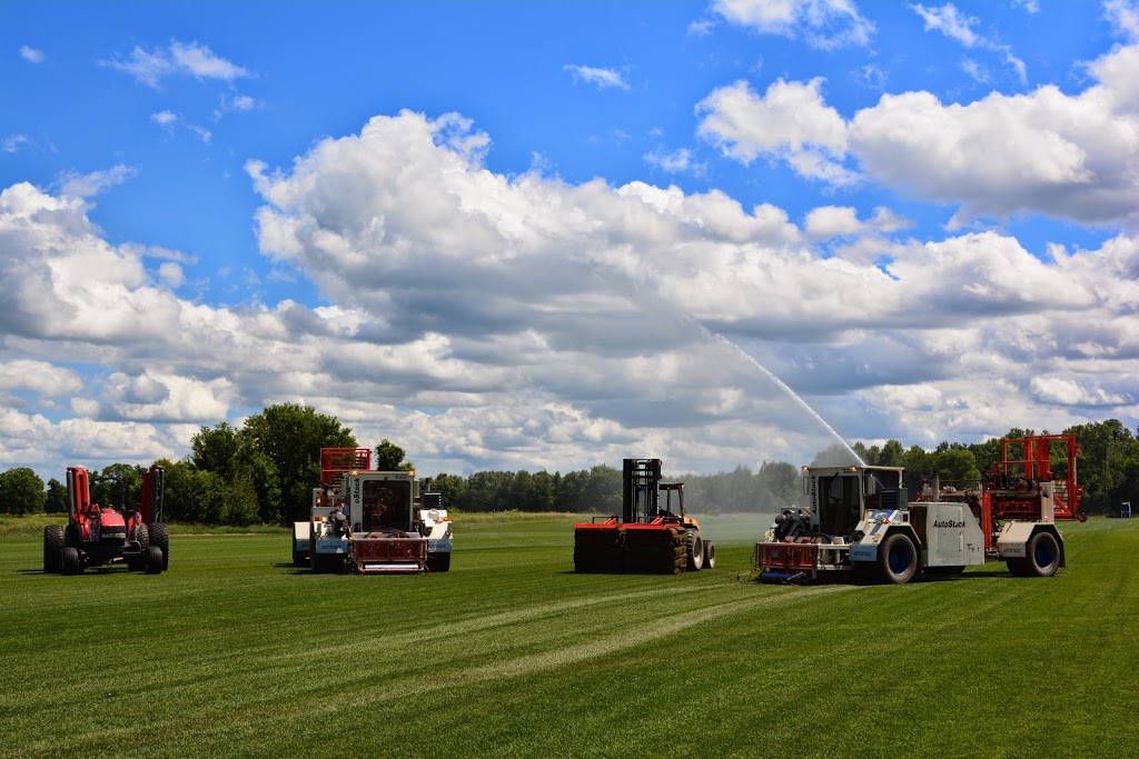 Fairgreen Sod Farms North | 137 Line 9 S, Hawkestone, ON L0L 1T0, Canada | Phone: (705) 487-3000