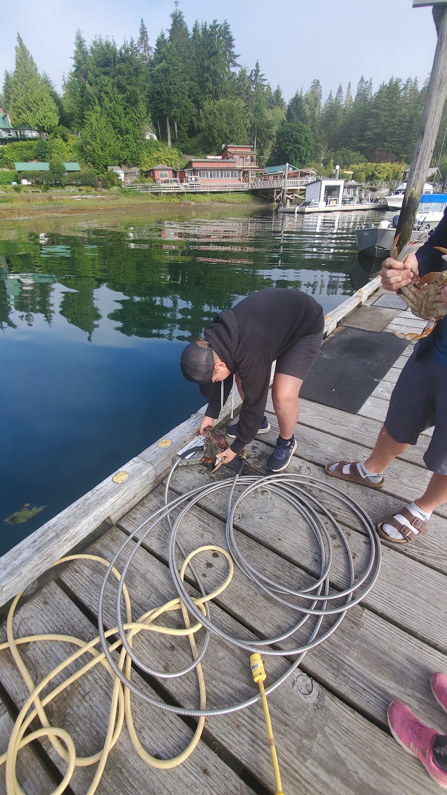 Bamfield Lodge | 275 Boardwalk, Bamfield, BC V0R 1B0, Canada | Phone: (250) 893-9870