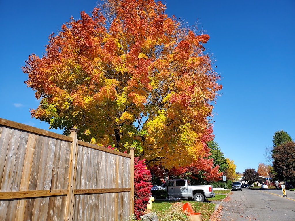Richelieu Vanier Park | 300 Pères-Blancs Ave, Ottawa, ON K1L 7L5, Canada | Phone: (613) 842-9871