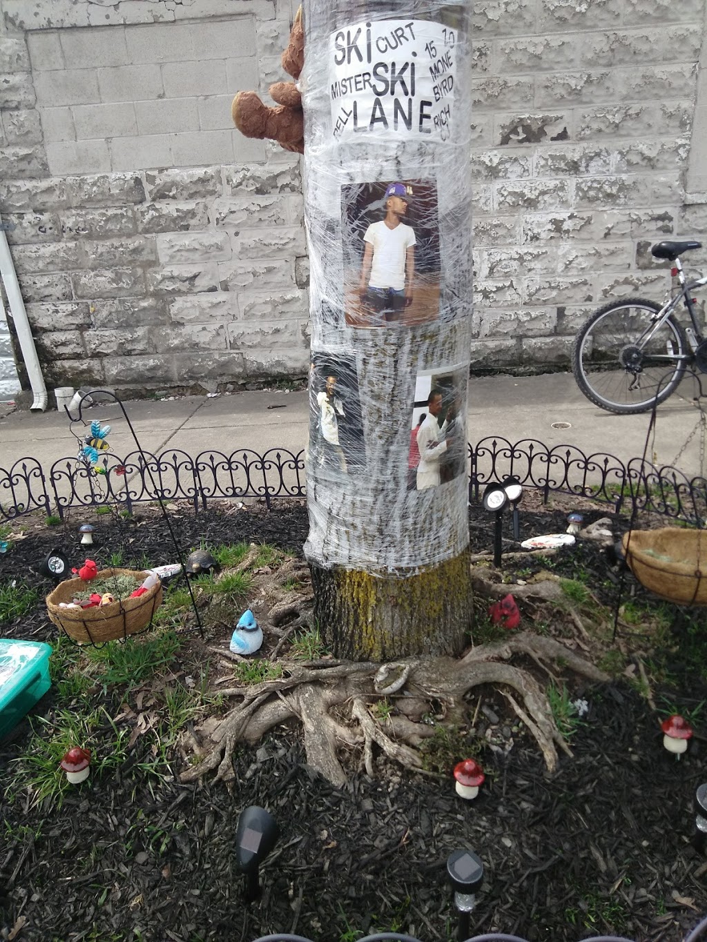 Eddie Dawson Park | Roetzer St, Buffalo, NY 14211, USA