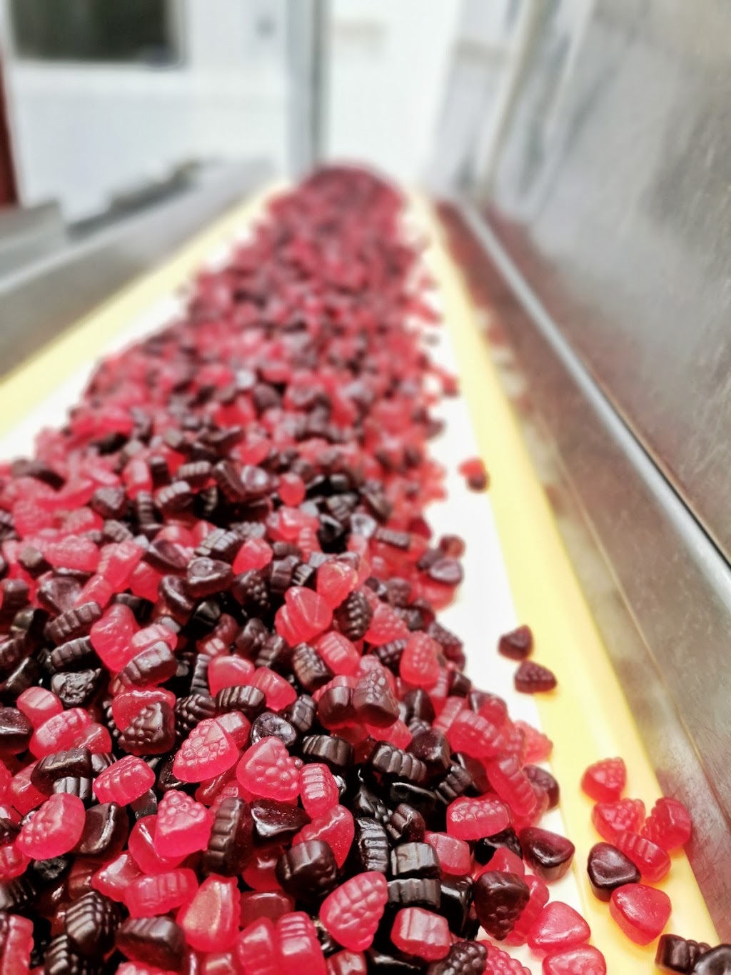Life Science Nutritionals Inc | 1190 Rue Lemay, Acton Vale, QC J0H 1A0, Canada | Phone: (450) 546-0101