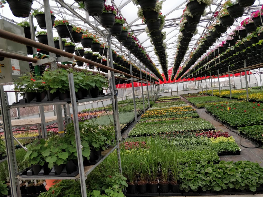 Klomps Home & Garden | 3994 Line 20, Saint Pauls Station, ON N0K 1V0, Canada | Phone: (519) 271-3090